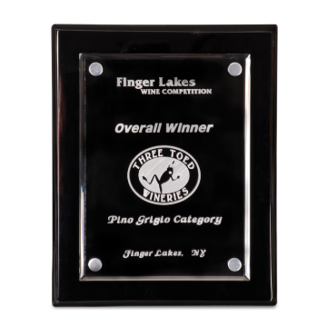 9" x 12" Black Floating Award Plaques | Engraved Plaques | Personalized Plaques | Custom Awards and Plaques | MawardsPlus.com 9" x 12" Black Floating Award Plaques | Engraved Plaques | Personalized Plaques | Custom Awards and Plaques | MawardsPlus.com