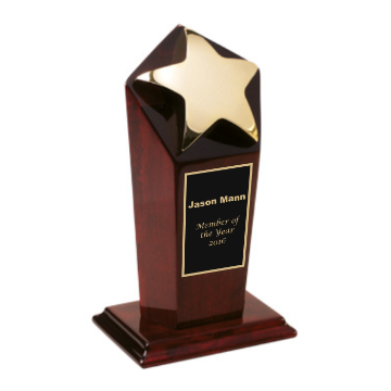 Gold Star 1st Place Awards 1st Place Award