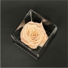 Forever Bloom Rising Star Award – acrylic box with single preserved rose top view